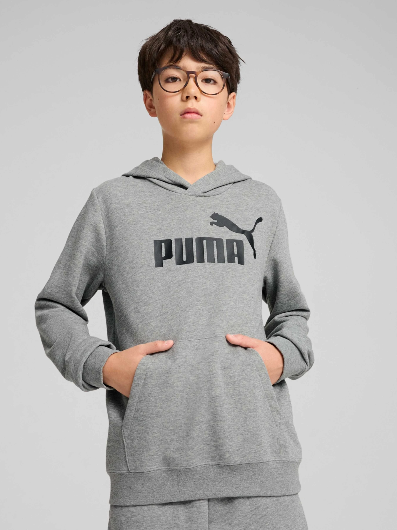 Худі та світшоти PUMA Ess No. 1 Logo Hoodie Tr модель 684909 Фото