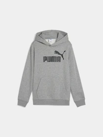 Худі та світшоти PUMA Ess No. 1 Logo Hoodie Tr модель 684909 Фото