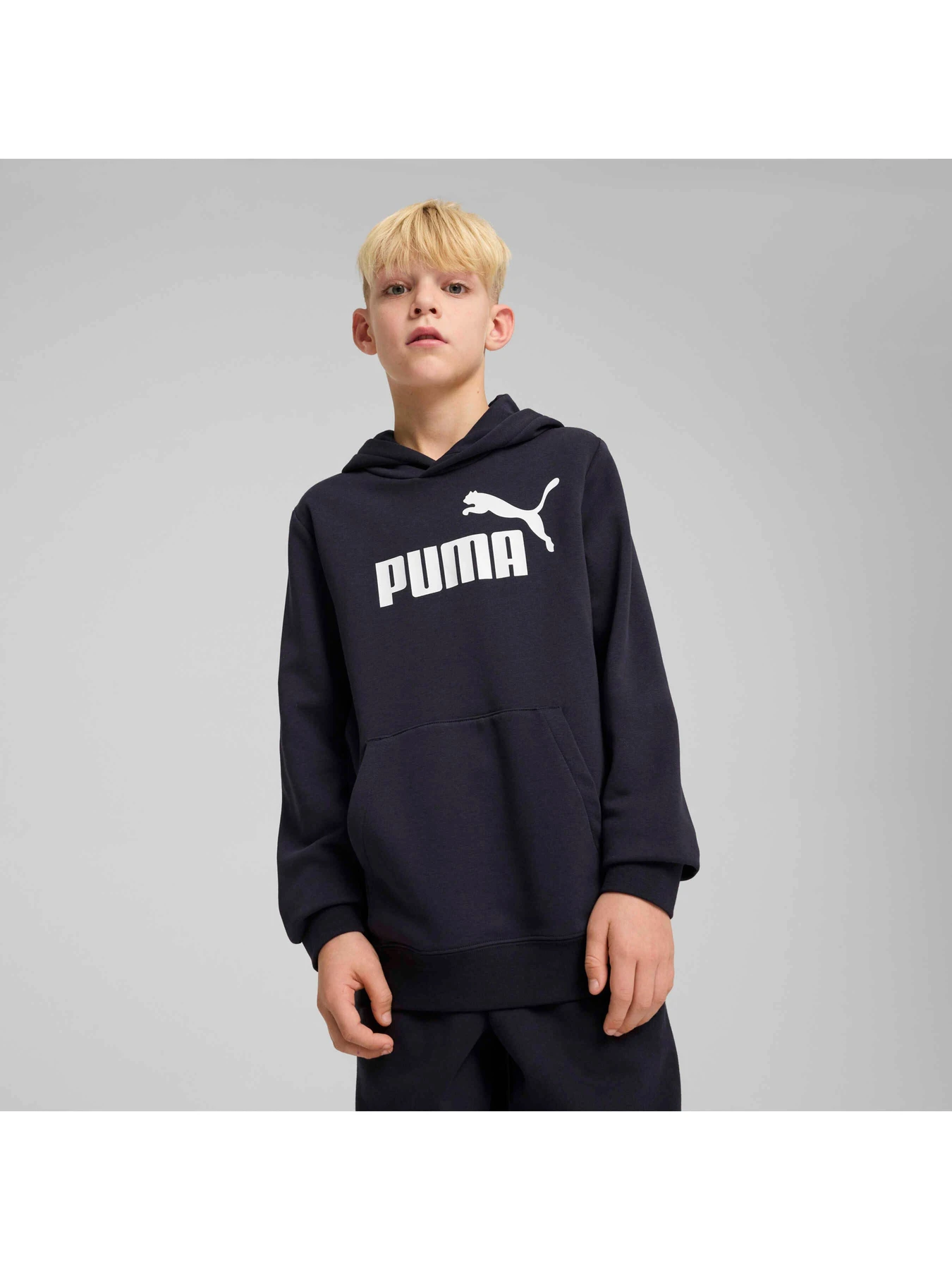 Худи и свитшоты PUMA Ess No. 1 Logo Hoodie Tr модель 684909 Худи и свитшоты PUMA Ess No. 1 Logo Hoodie Tr модель 684909 Фото