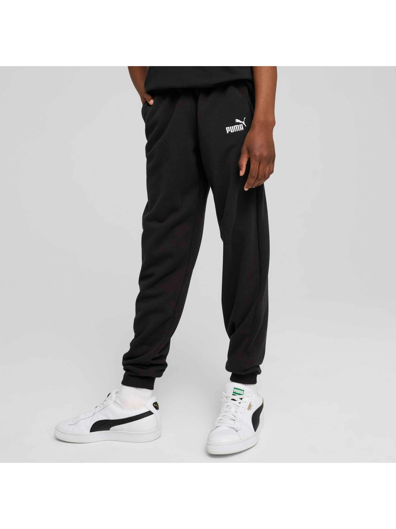 Брюки PUMA Ess No. 1 Logo Sweatpants Tr модель 684914 Брюки PUMA Ess No. 1 Logo Sweatpants Tr модель 684914 Фото