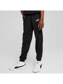 Брюки PUMA Ess No. 1 Logo Sweatpants Tr модель 684914 Фото