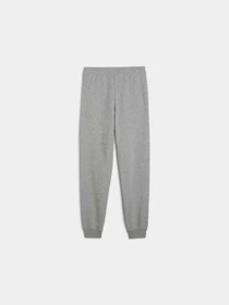 Брюки PUMA Ess No. 1 Logo Sweatpants Tr модель 684914 Фото