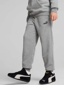 Брюки PUMA Ess No. 1 Logo Sweatpants Tr модель 684914 Фото
