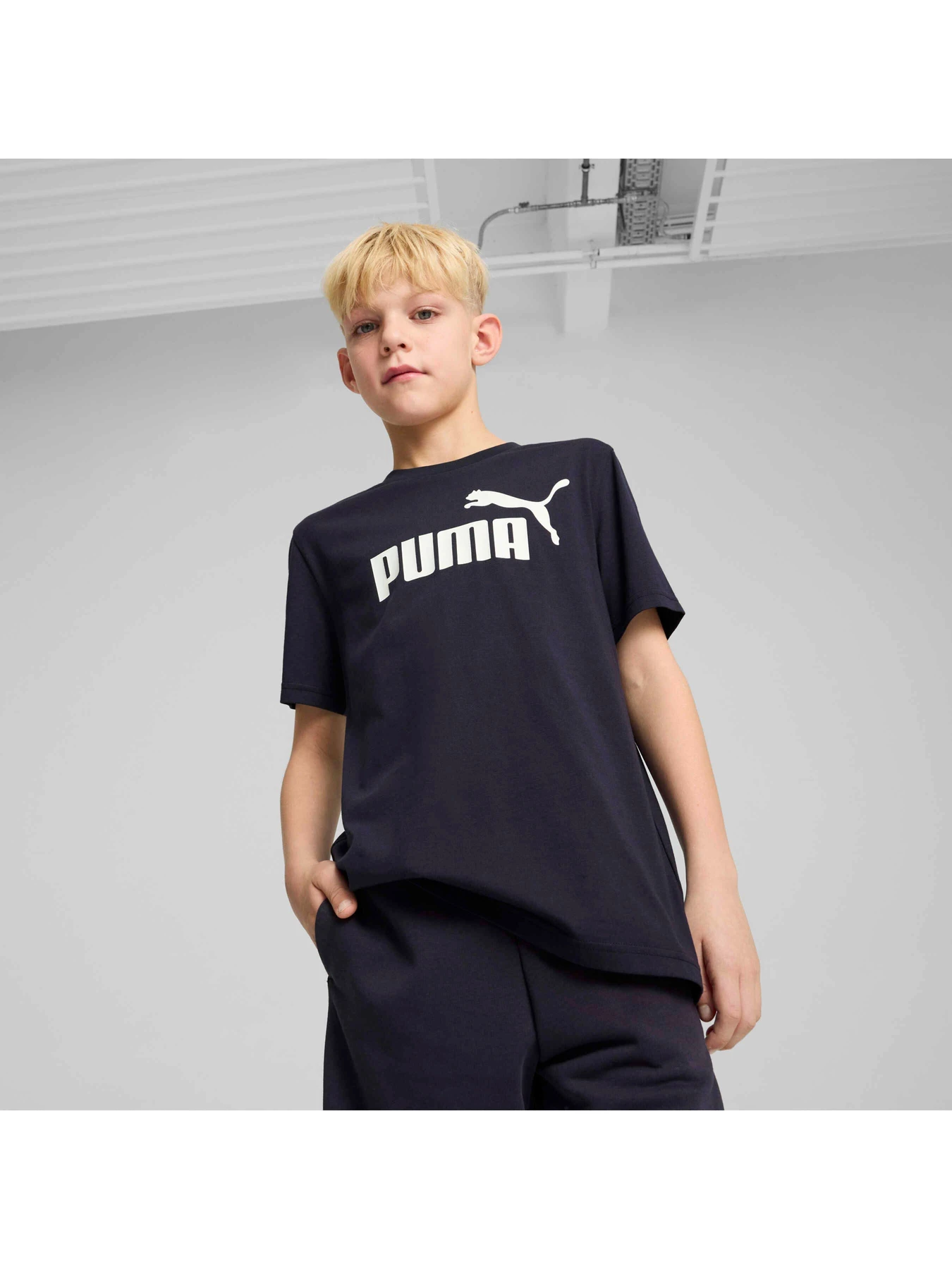 Футболки и поло PUMA Ess No. 1 Logo Tee модель 684906 Фото