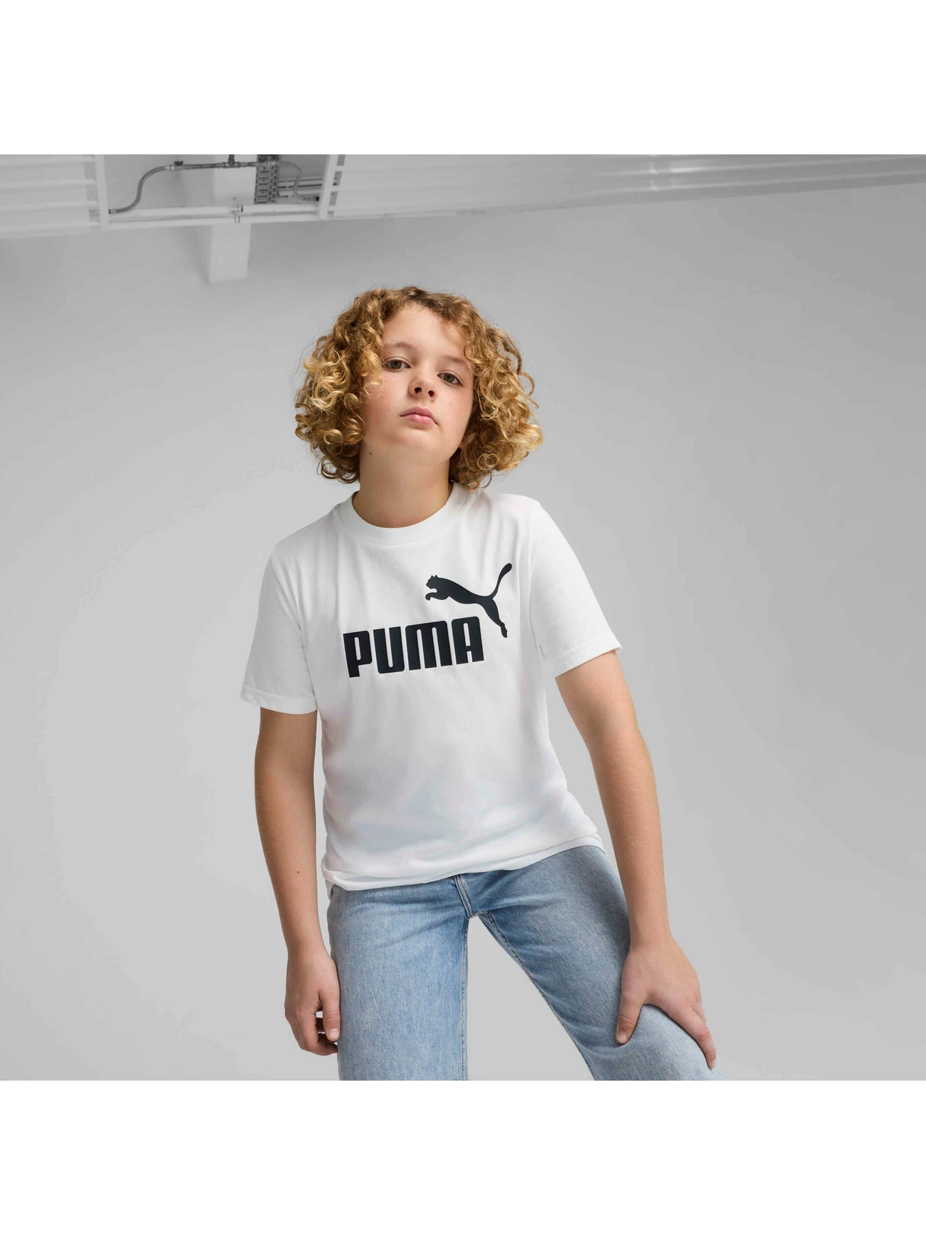 Футболки и поло PUMA Ess No. 1 Logo Tee модель 684906 Фото