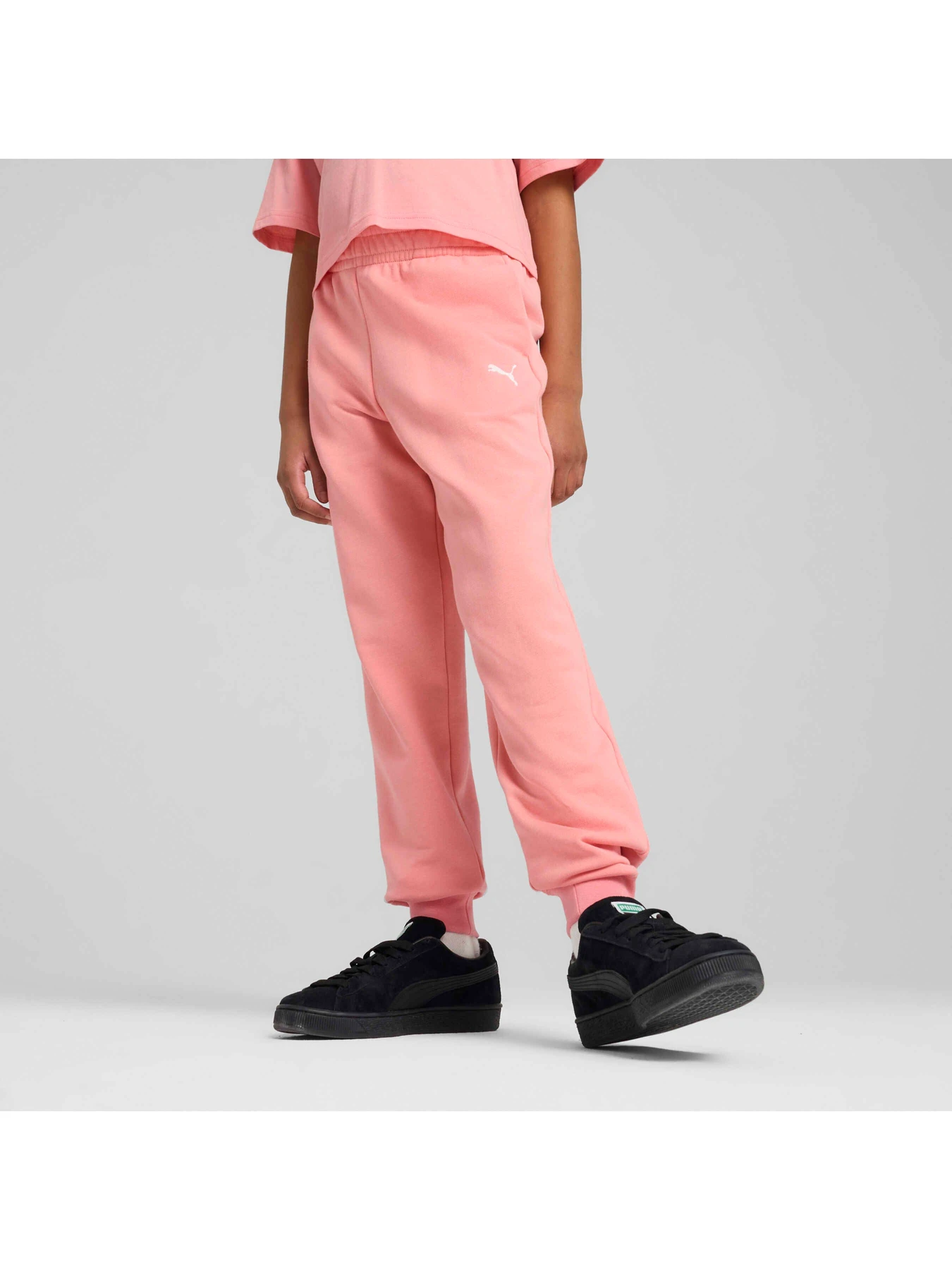 Брюки PUMA Ess Sweatpants модель 684899 Брюки PUMA Ess Sweatpants модель 684899 Фото