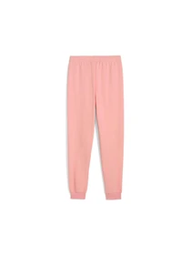 Брюки PUMA Ess Sweatpants модель 684899 Фото