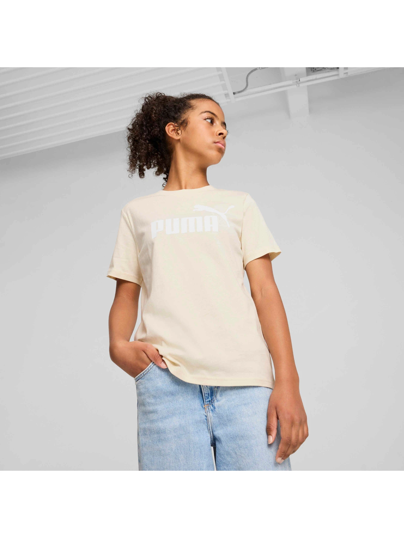 Футболки и поло PUMA Ess No. 1 Logo Tee модель 684892 Фото