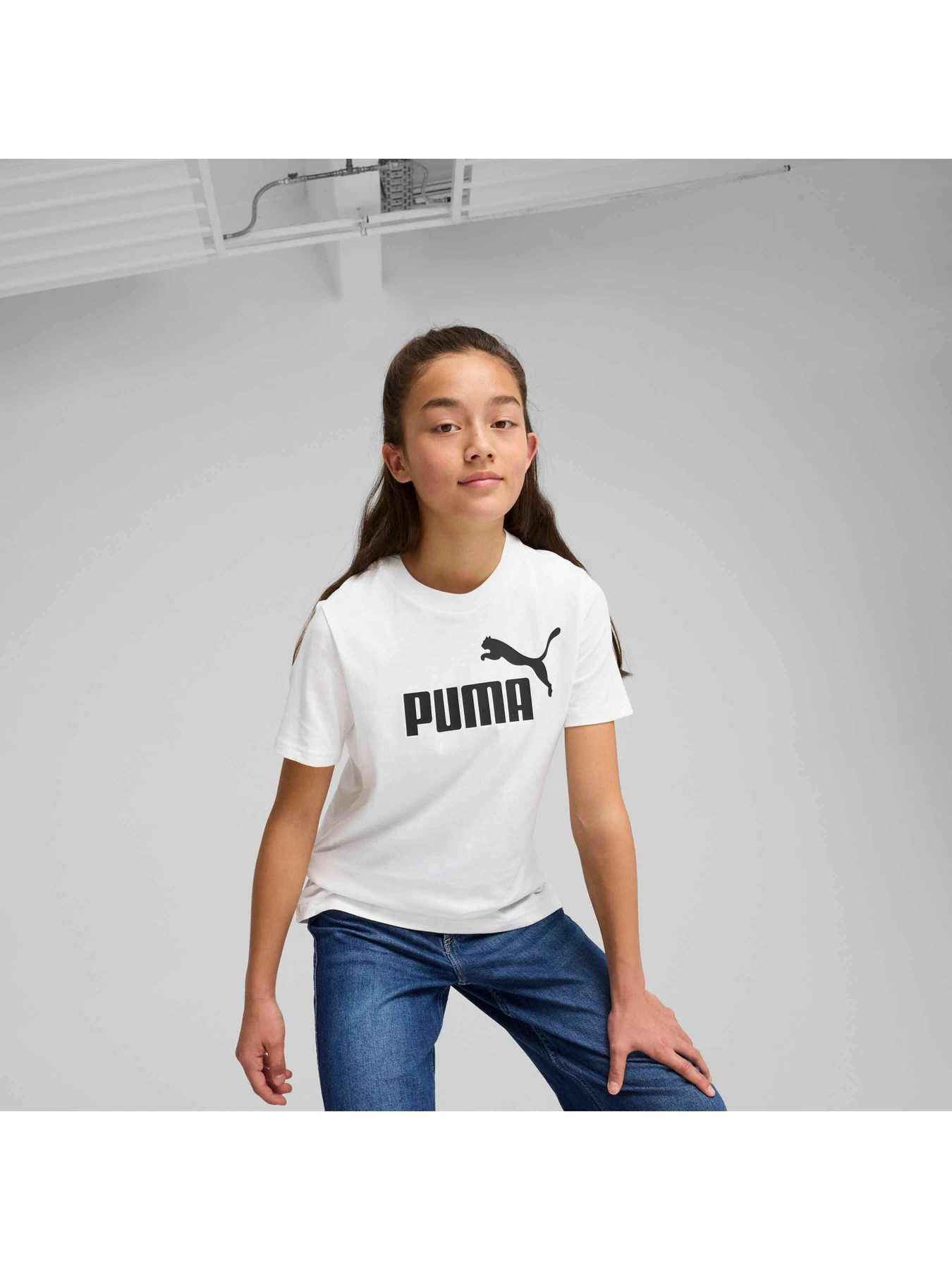 Футболки і поло PUMA Ess No. 1 Logo Tee модель 684892 Фото