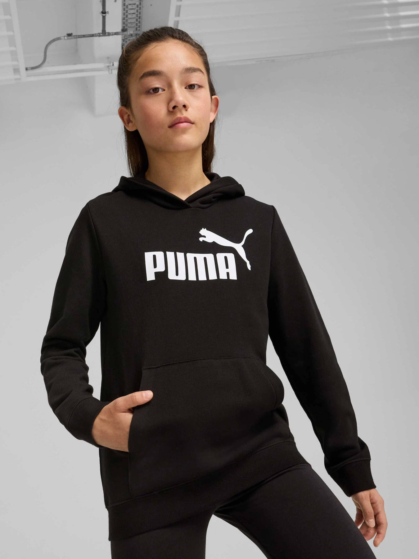 Худі та світшоти PUMA Ess No. 1 Logo Hoodie модель 684897 Фото