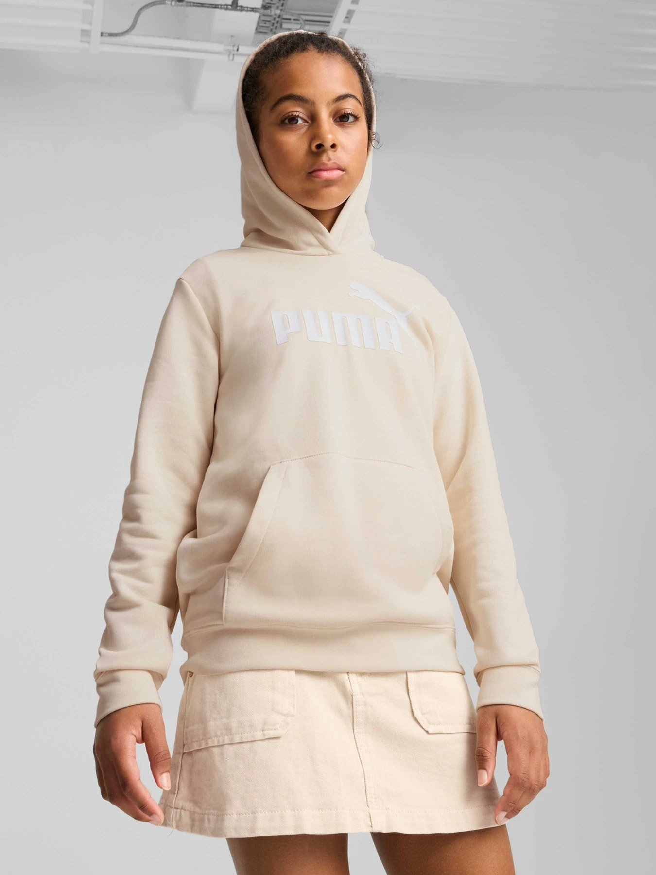 Худі та світшоти PUMA Ess No. 1 Logo Hoodie модель 684897 Фото