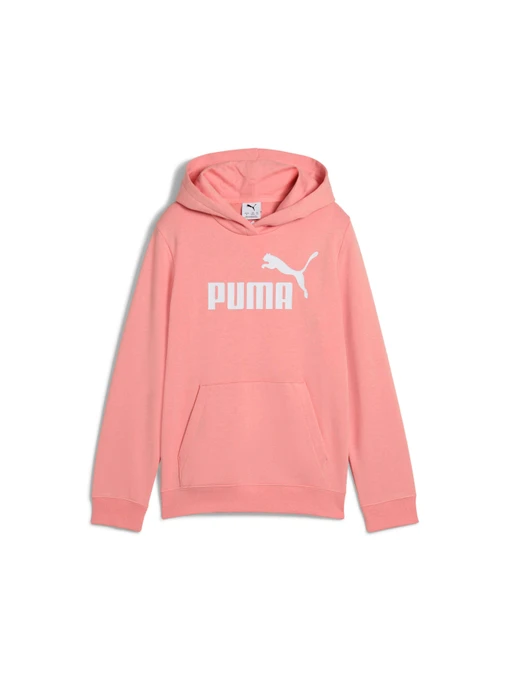 Худи и свитшоты PUMA Ess No. 1 Logo Hoodie модель 684897 Фото