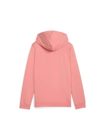 Худи и свитшоты PUMA Ess No. 1 Logo Hoodie модель 684897 Фото
