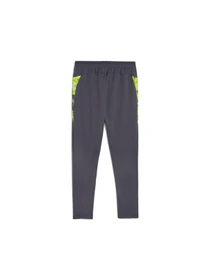 Брюки PUMA Individualcup Training Pants модель 659899 Фото