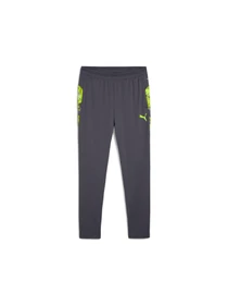 Брюки PUMA Individualcup Training Pants модель 659899 Фото