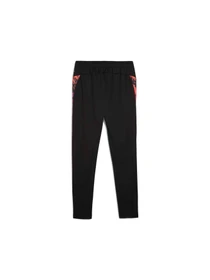 Брюки PUMA Individualcup Training Pants модель 659899 Фото