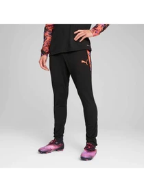 Брюки PUMA Individualcup Training Pants модель 659899 Фото
