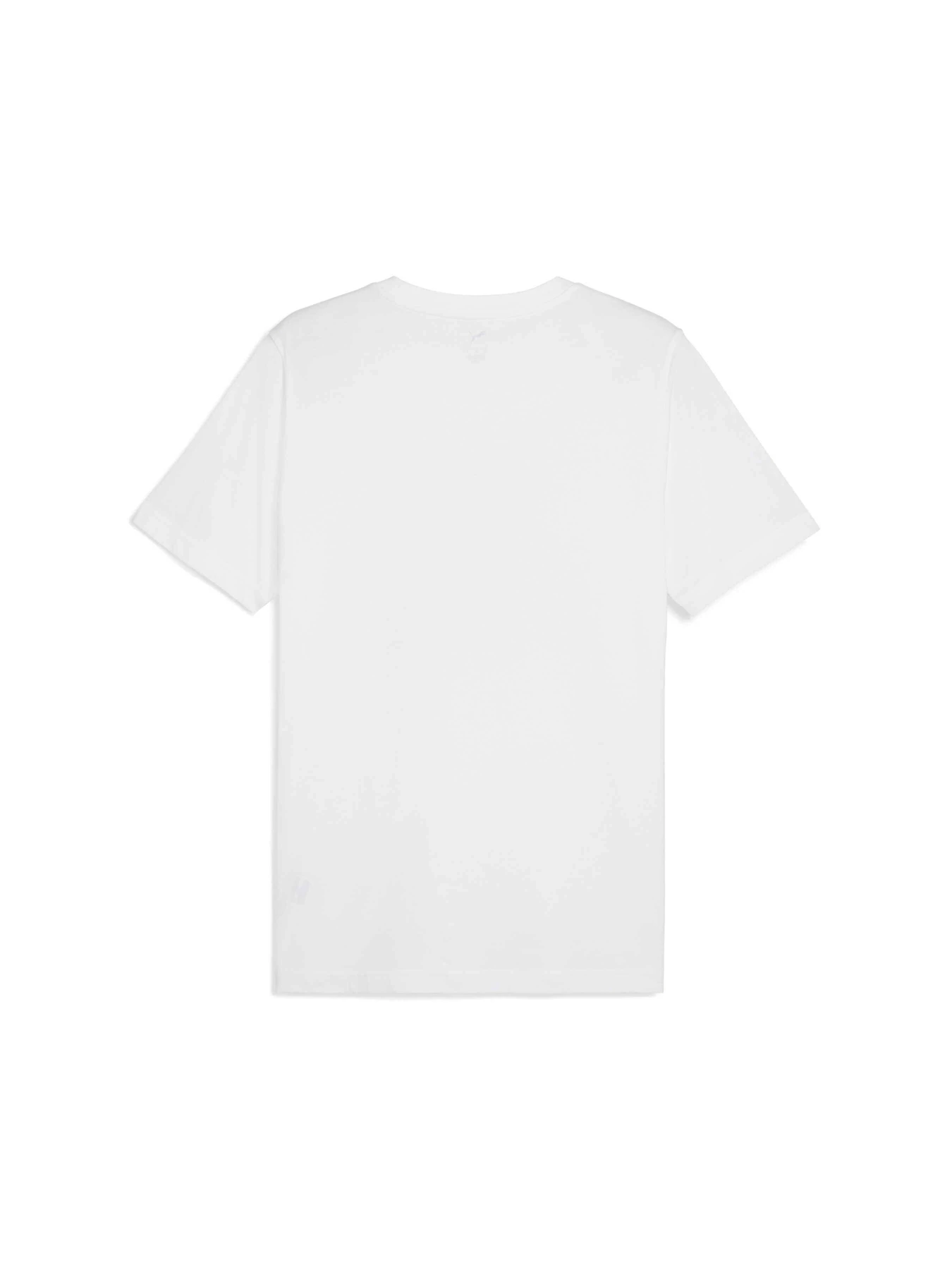 Футболки і поло PUMA Graphics Foil Tee модель 684835 Фото