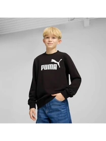 Худи и свитшоты PUMA Ess No. 1 Logo Crew Tr модель 684910 Фото