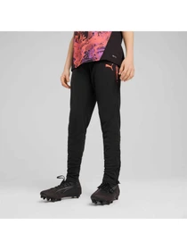 Брюки PUMA Individualcup Trg Pants Jr модель 659901 Фото