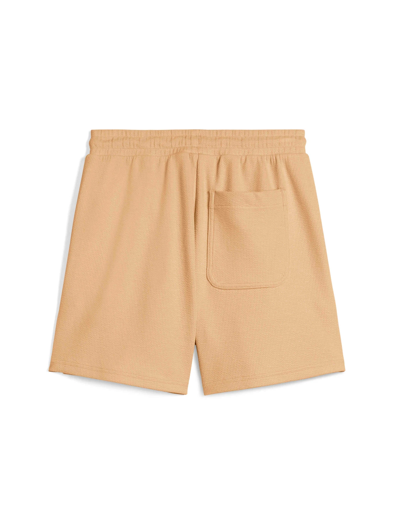 Шорты PUMA Her High-waist Shorts модель 685062 Шорты PUMA Her High-waist Shorts модель 685062 Фото