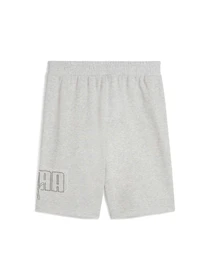 Шорти PUMA Ess Logo Lab Shorts модель 684670 Фото