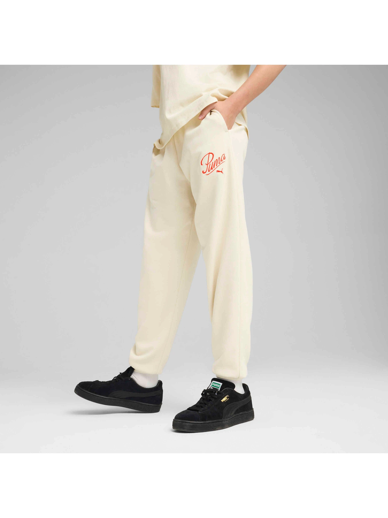 Брюки PUMA Ess Script Sweatpants модель 685807 Брюки PUMA Ess Script Sweatpants модель 685807 Фото
