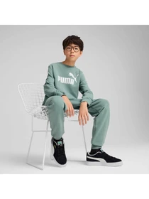 Костюмы PUMA Ess Logo Crew Sweat Suit Tr модель 686296 Фото