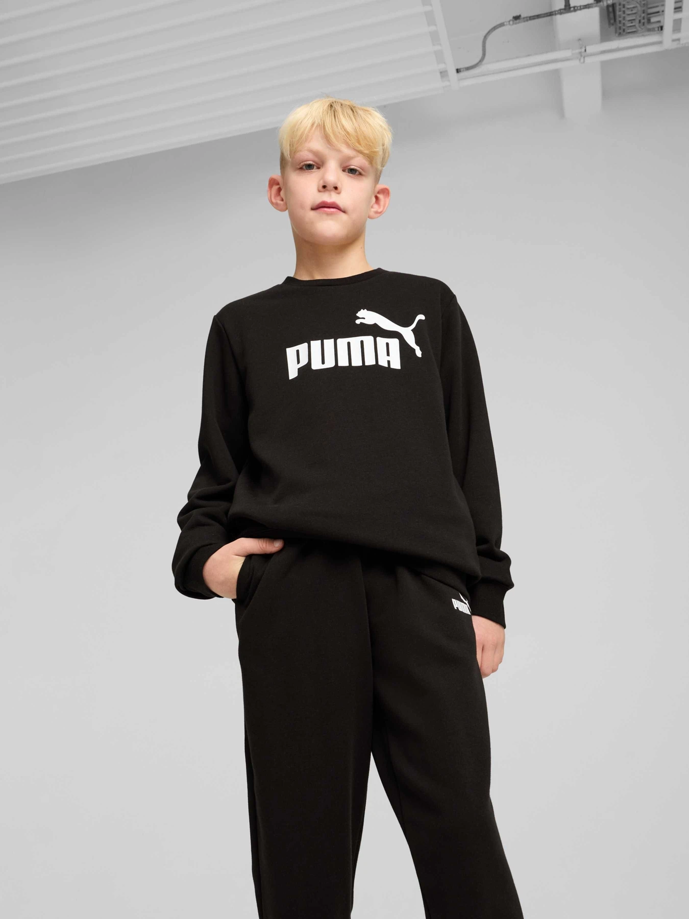 Костюми PUMA Ess Logo Crew Sweat Suit Tr модель 686296 Костюми PUMA Ess Logo Crew Sweat Suit Tr модель 686296 Фото