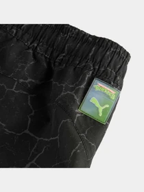 Брюки PUMA x Tmnt Cargo Pants модель 630088 Фото