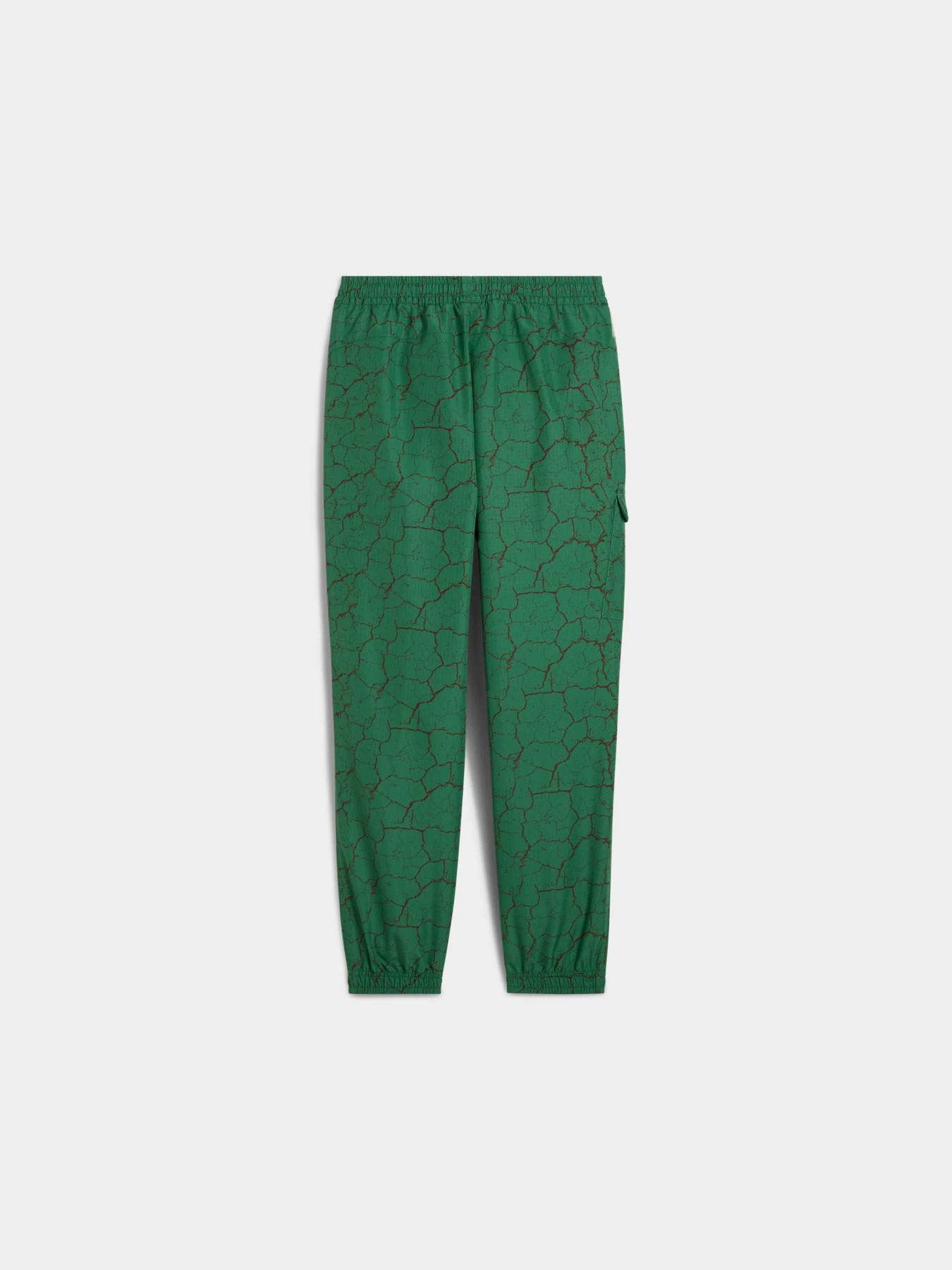 Брюки PUMA x Tmnt Cargo Pants модель 630088 Брюки PUMA x Tmnt Cargo Pants модель 630088 Фото