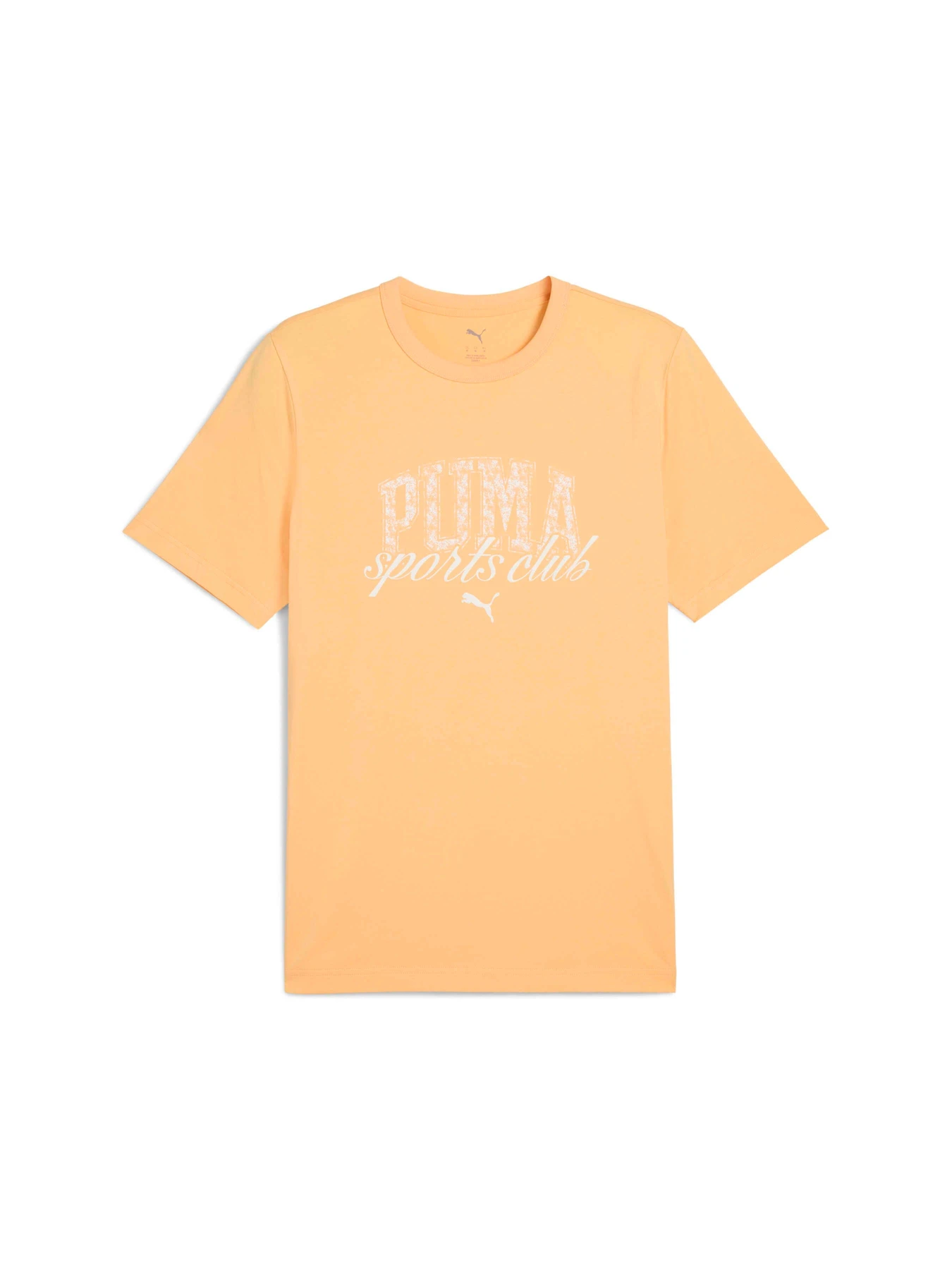 Футболки и поло PUMA Class Graphic Tee модель 684643 Футболки и поло PUMA Class Graphic Tee модель 684643 Фото