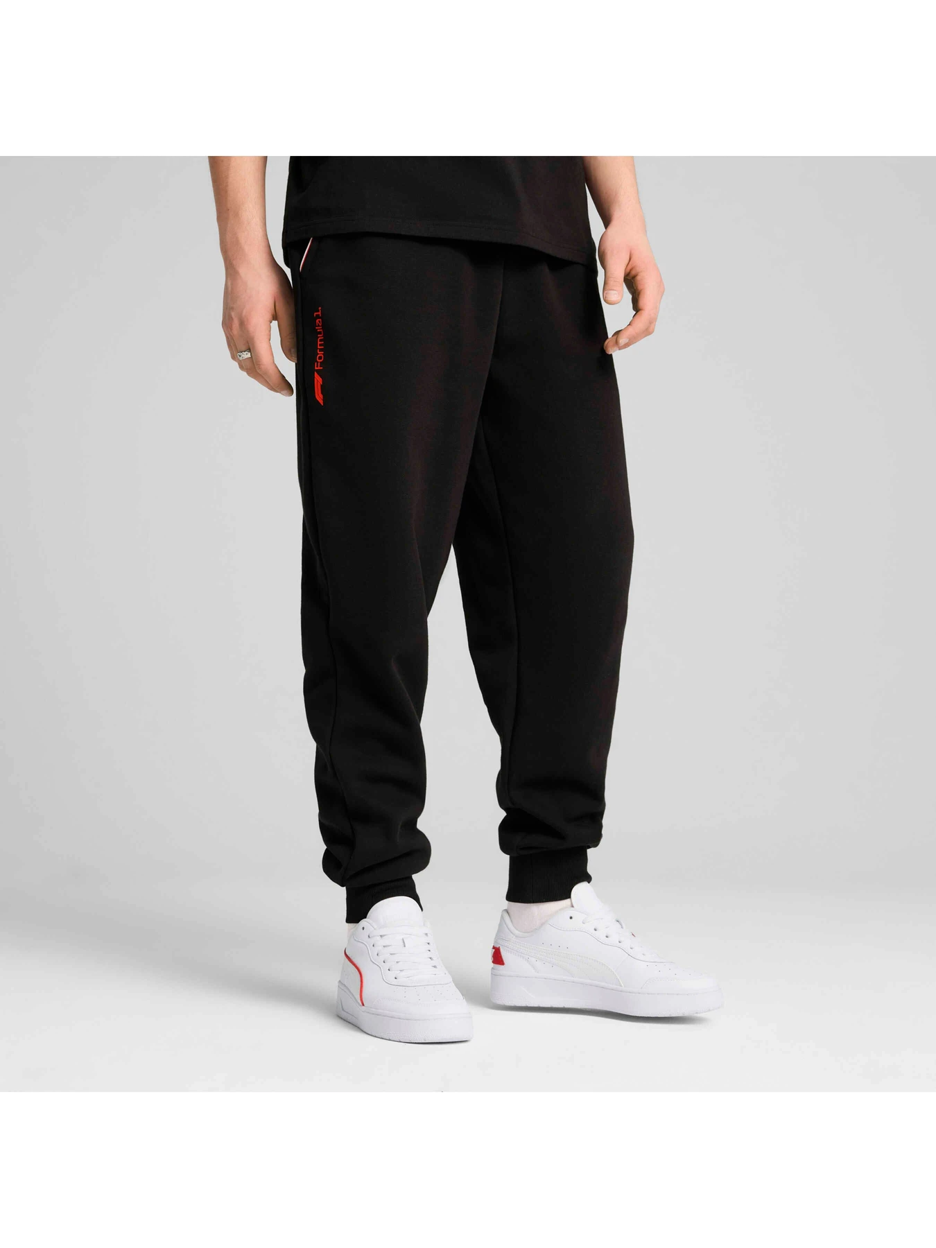 Брюки PUMA F1 Ess+ Sweatpants - Relaxed модель 630123 Брюки PUMA F1 Ess+ Sweatpants - Relaxed модель 630123 Фото