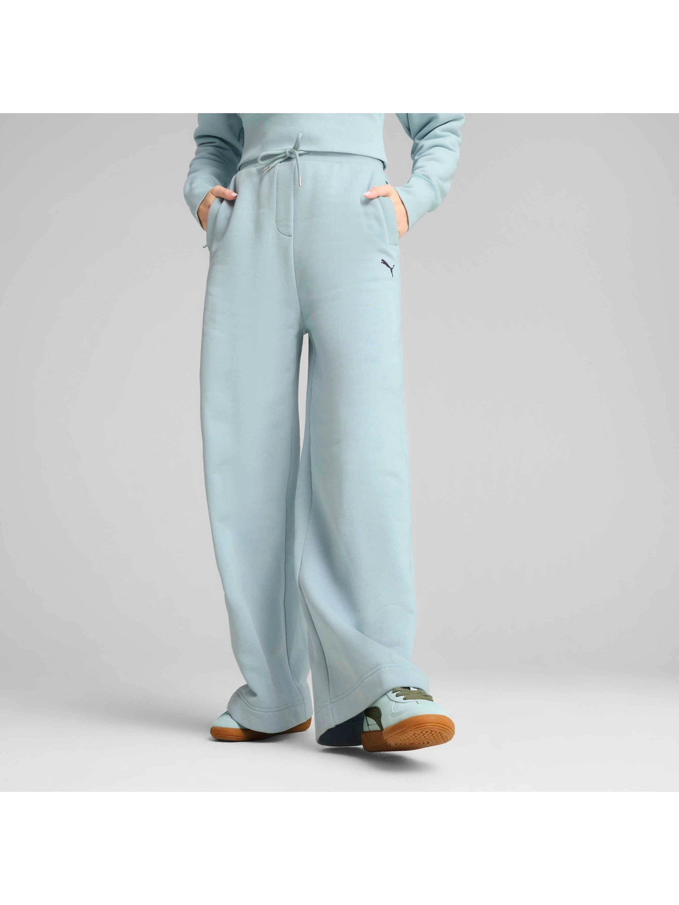 Брюки PUMA Premium Ess Sweatpants модель 629779 Брюки PUMA Premium Ess Sweatpants модель 629779 Фото