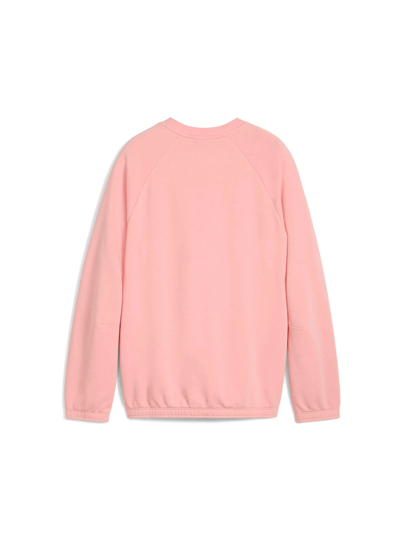Худи и свитшоты PUMA Butterfly Vibe Crew модель 629886 Худи и свитшоты PUMA Butterfly Vibe Crew модель 629886 Фото