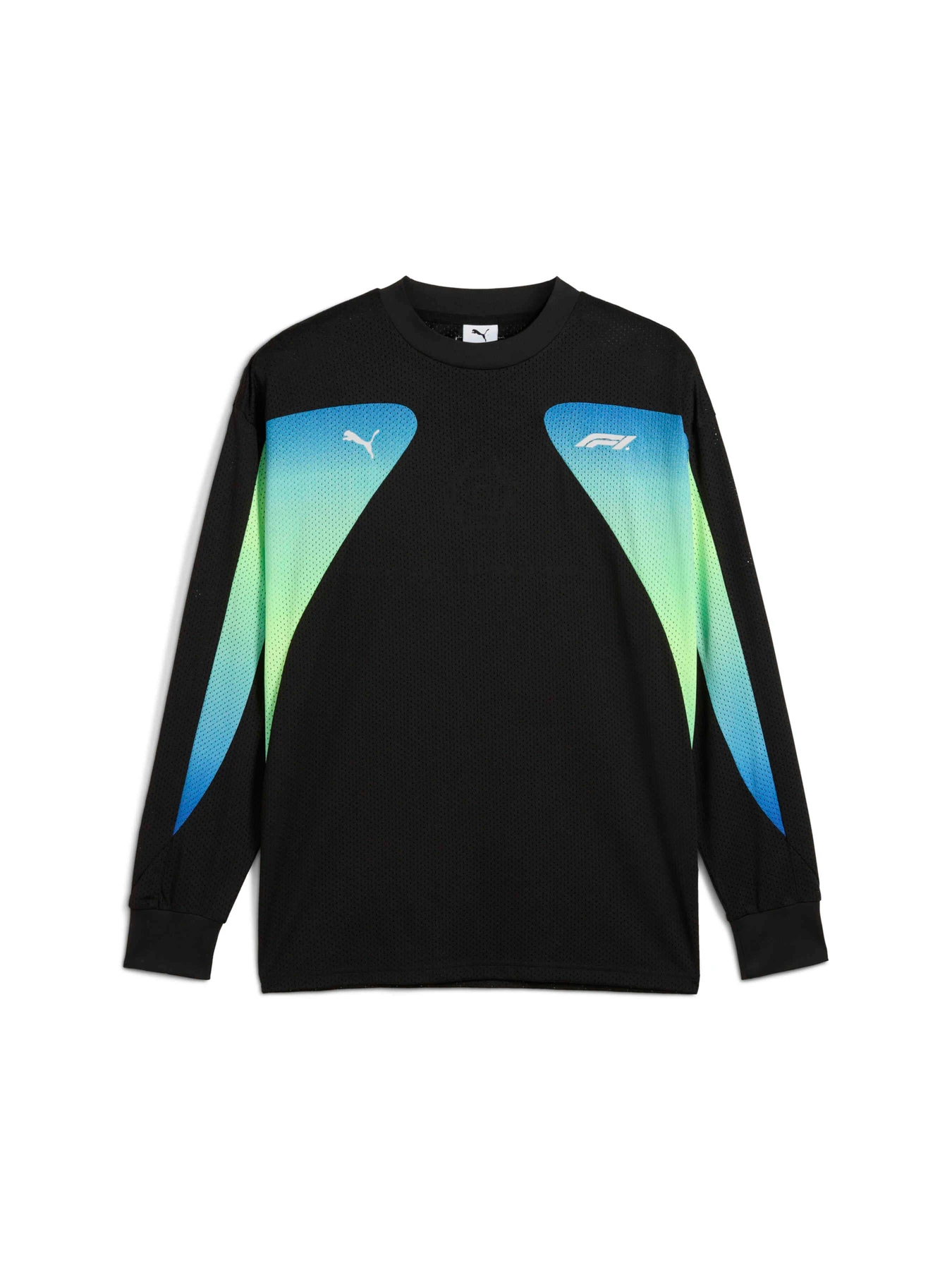 Худі та світшоти PUMA F1 Oversized Ls Tee модель 631642 Фото