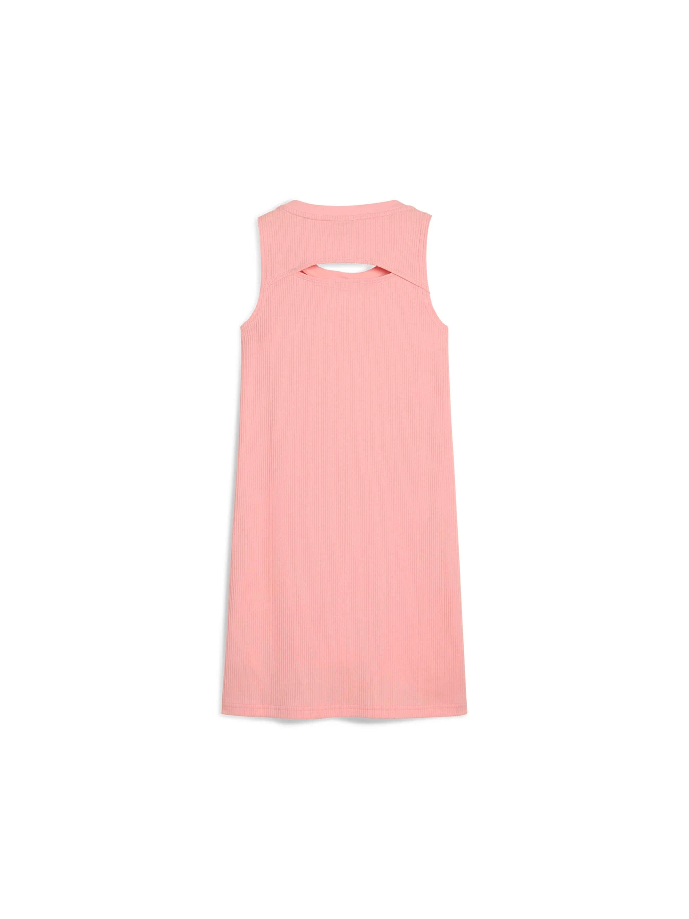 Сукні PUMA Butterfly Vibe Tank Dress модель 629882 Сукні PUMA Butterfly Vibe Tank Dress модель 629882 Фото
