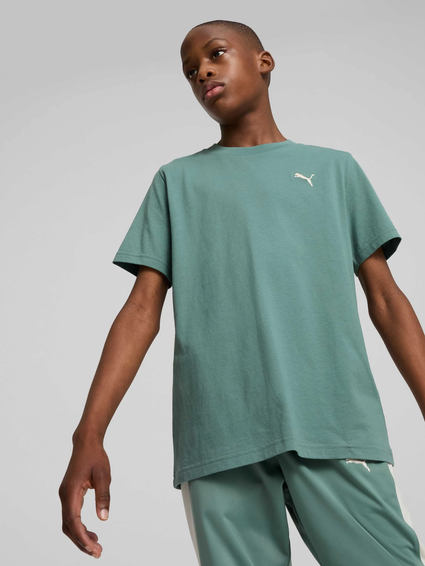 Футболки и поло PUMA Wardrobe Ess Tee модель 629877 Фото