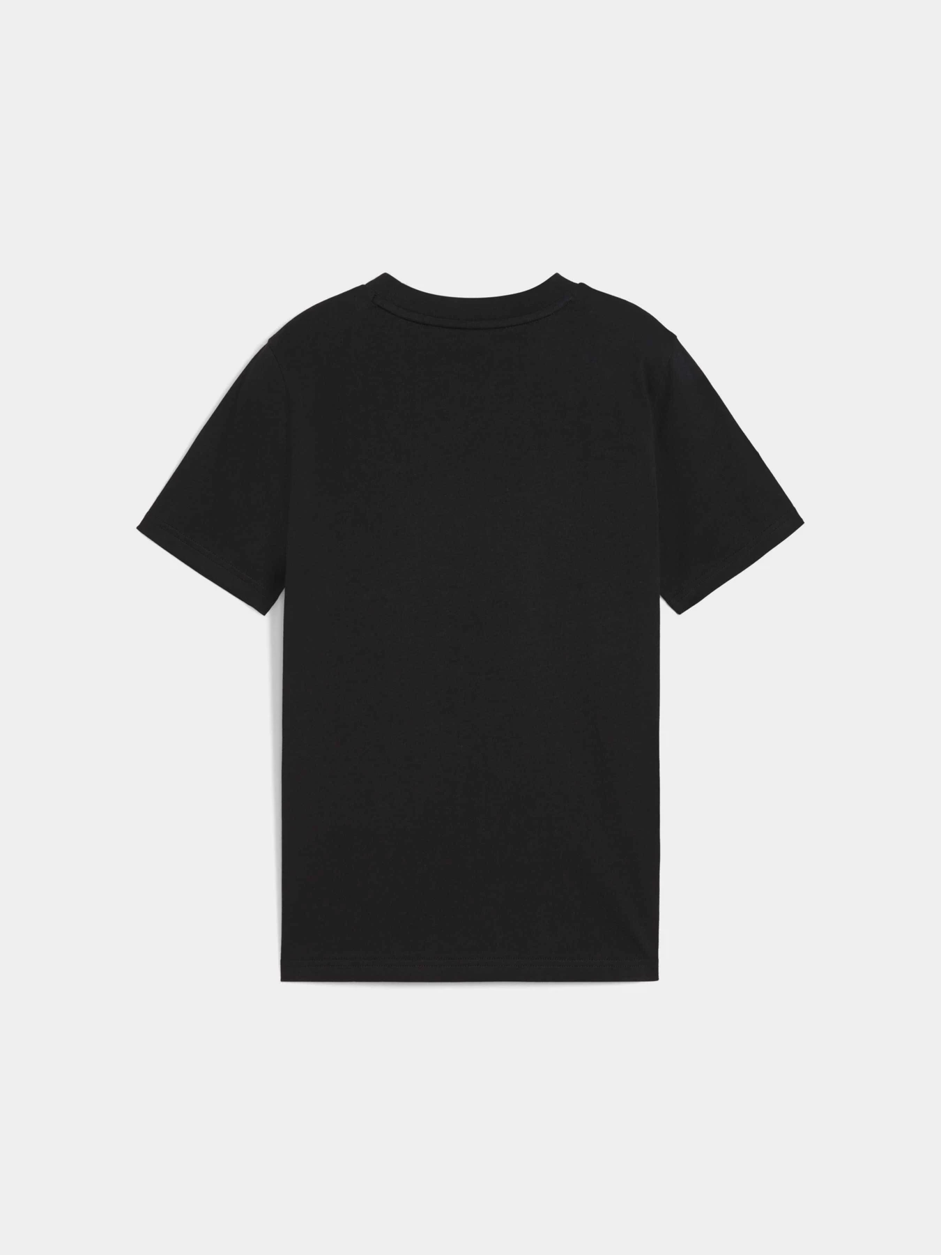 Футболки и поло PUMA Wardrobe Ess Tee модель 629877 Фото