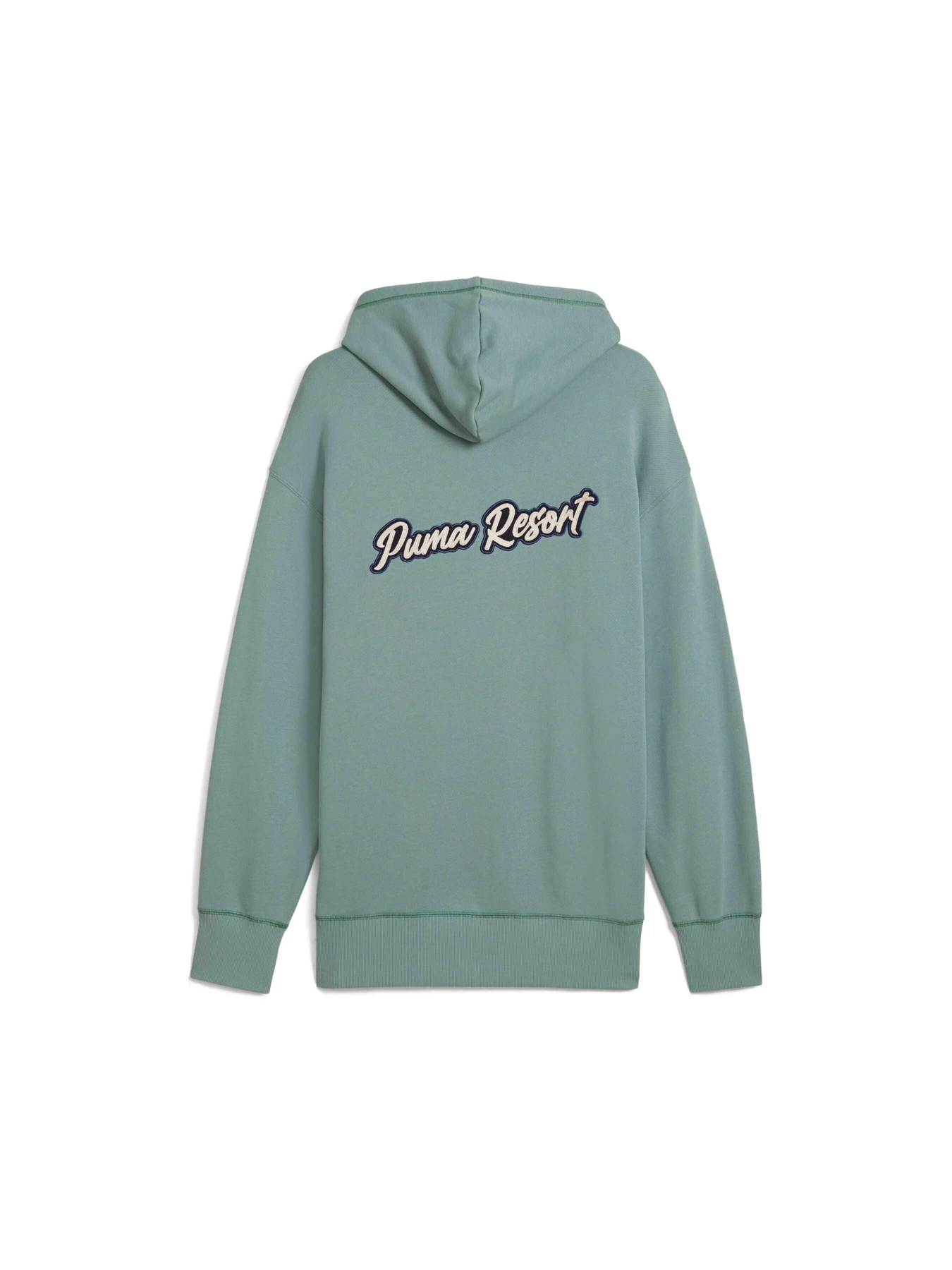 Худі та світшоти PUMA Premium Ess Graphic Hoodie модель 629667 Фото