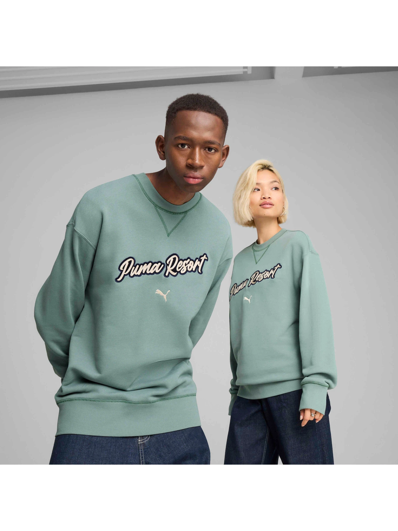 Худі та світшоти PUMA Premium Ess Graphic Crew модель 629668 Худі та світшоти PUMA Premium Ess Graphic Crew модель 629668 Фото
