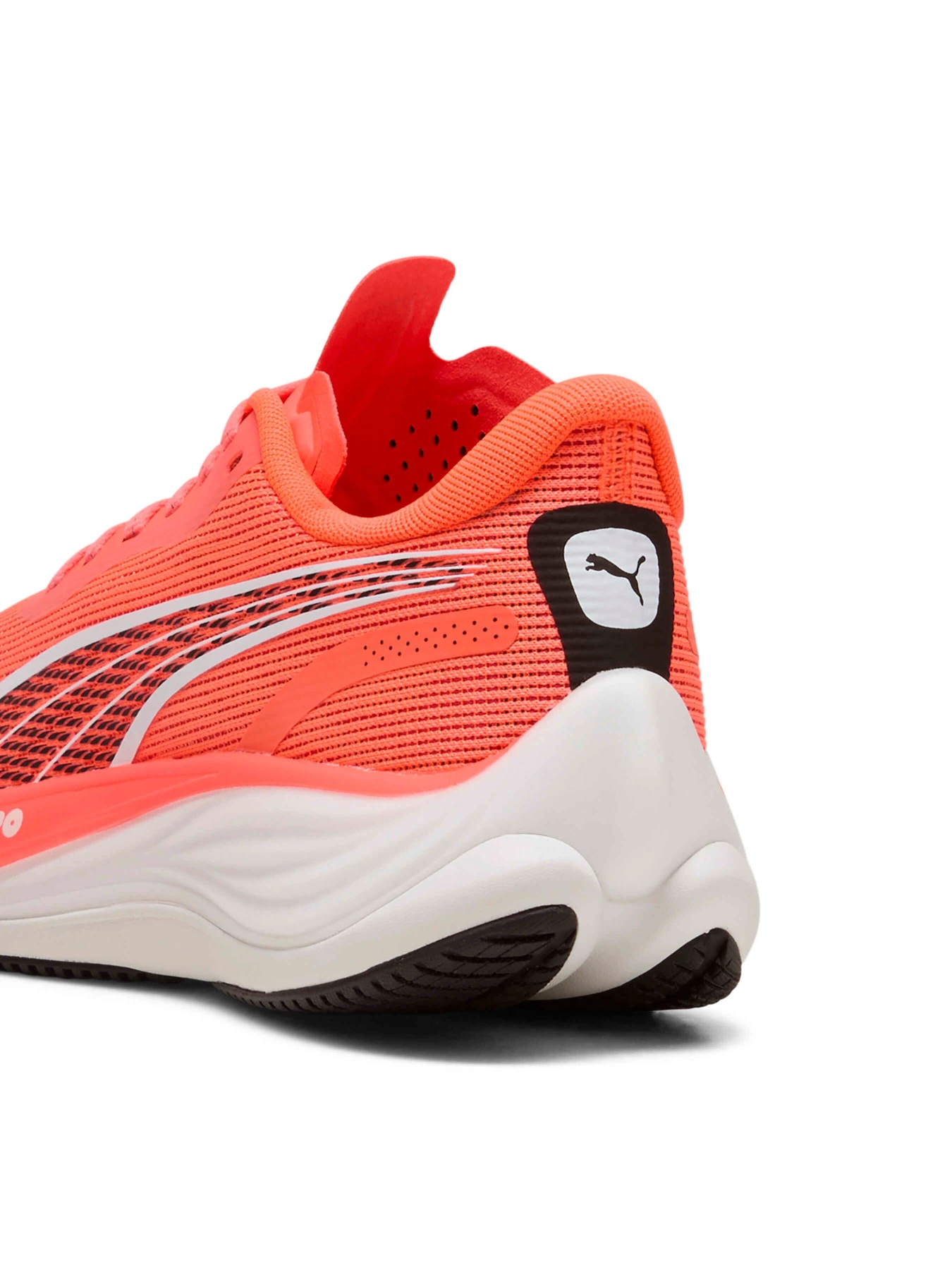 Кроссовки PUMA Velocity Nitro™ 3 Wn модель 377749 Кроссовки PUMA Velocity Nitro™ 3 Wn модель 377749 Фото