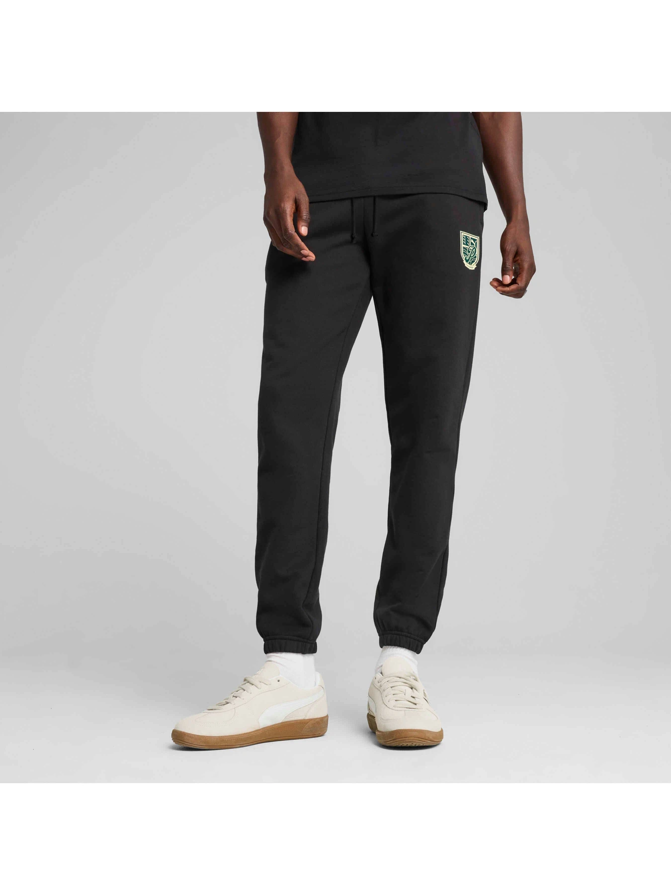 Брюки PUMA Wardrobe Ess Graphic Pants модель 629631 Фото