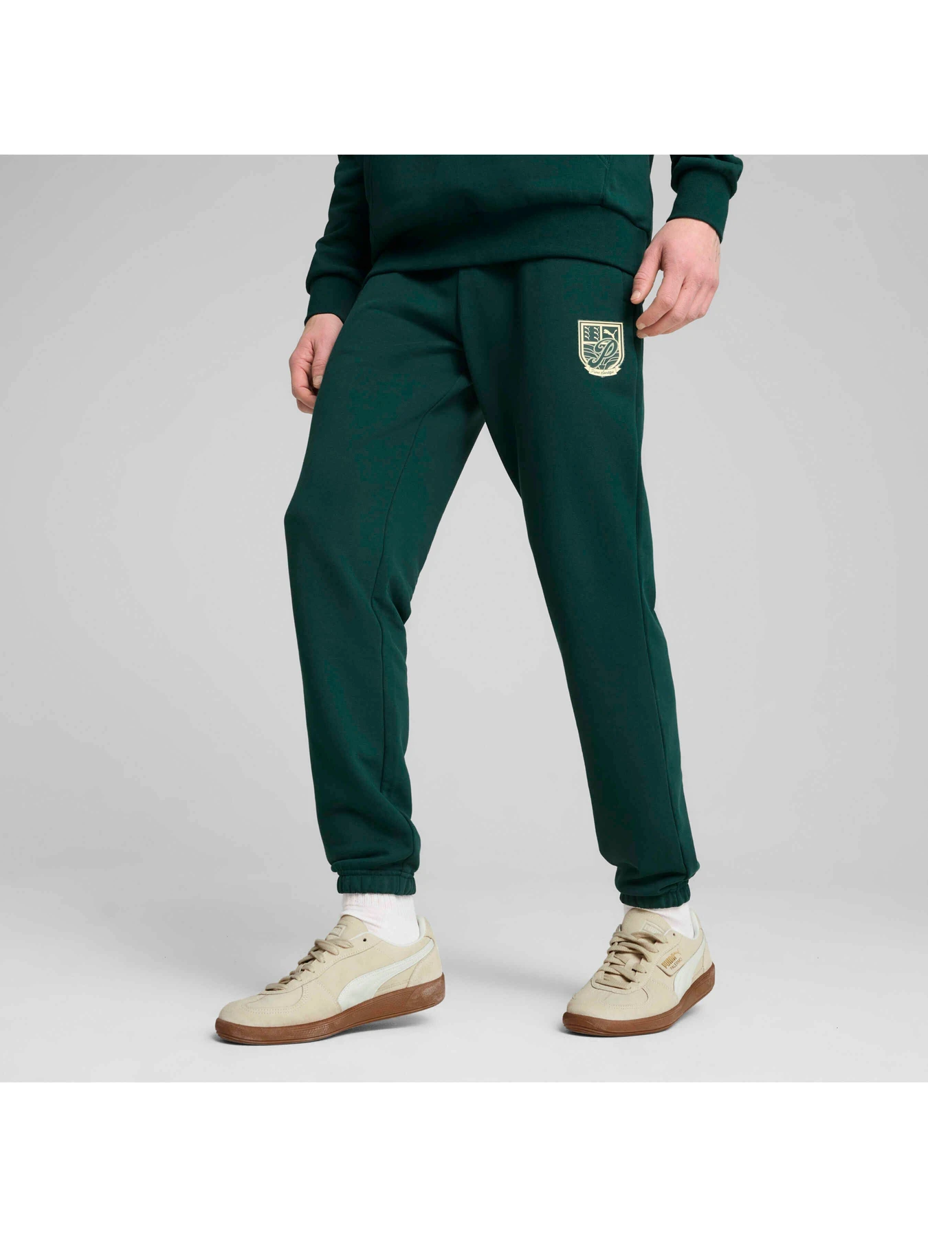 Брюки PUMA Wardrobe Ess Graphic Pants модель 629631 Фото