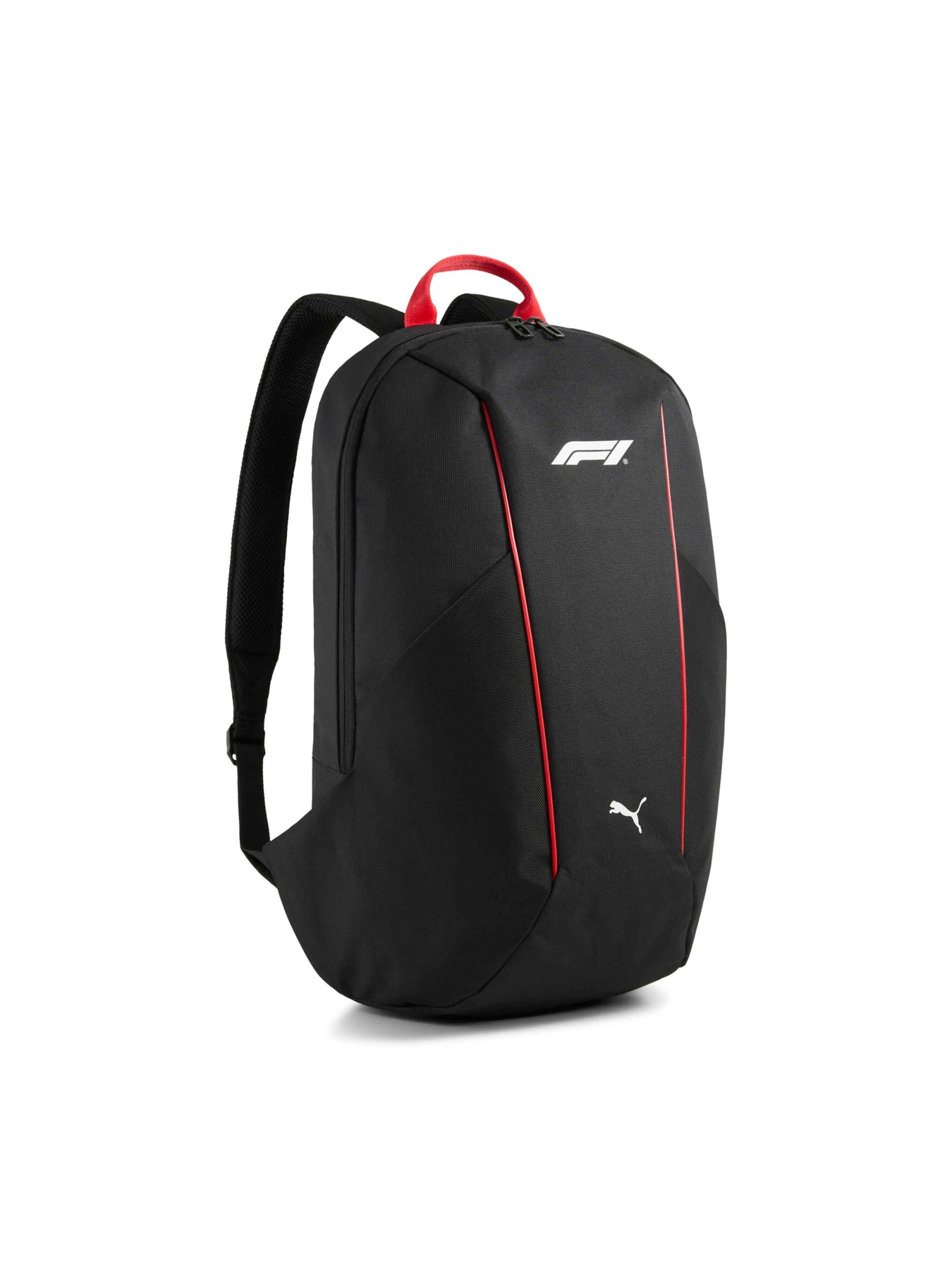 Рюкзаки PUMA F1 Large Backpack модель 091268 Рюкзаки PUMA F1 Large Backpack модель 091268 Фото