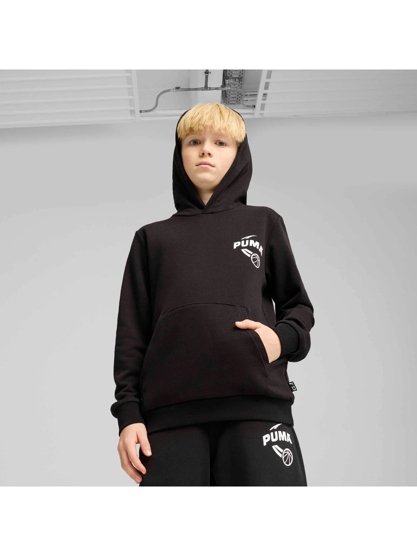 Худи и свитшоты PUMA Basketball Posterize Hoodie модель 630823 Худи и свитшоты PUMA Basketball Posterize Hoodie модель 630823 Фото