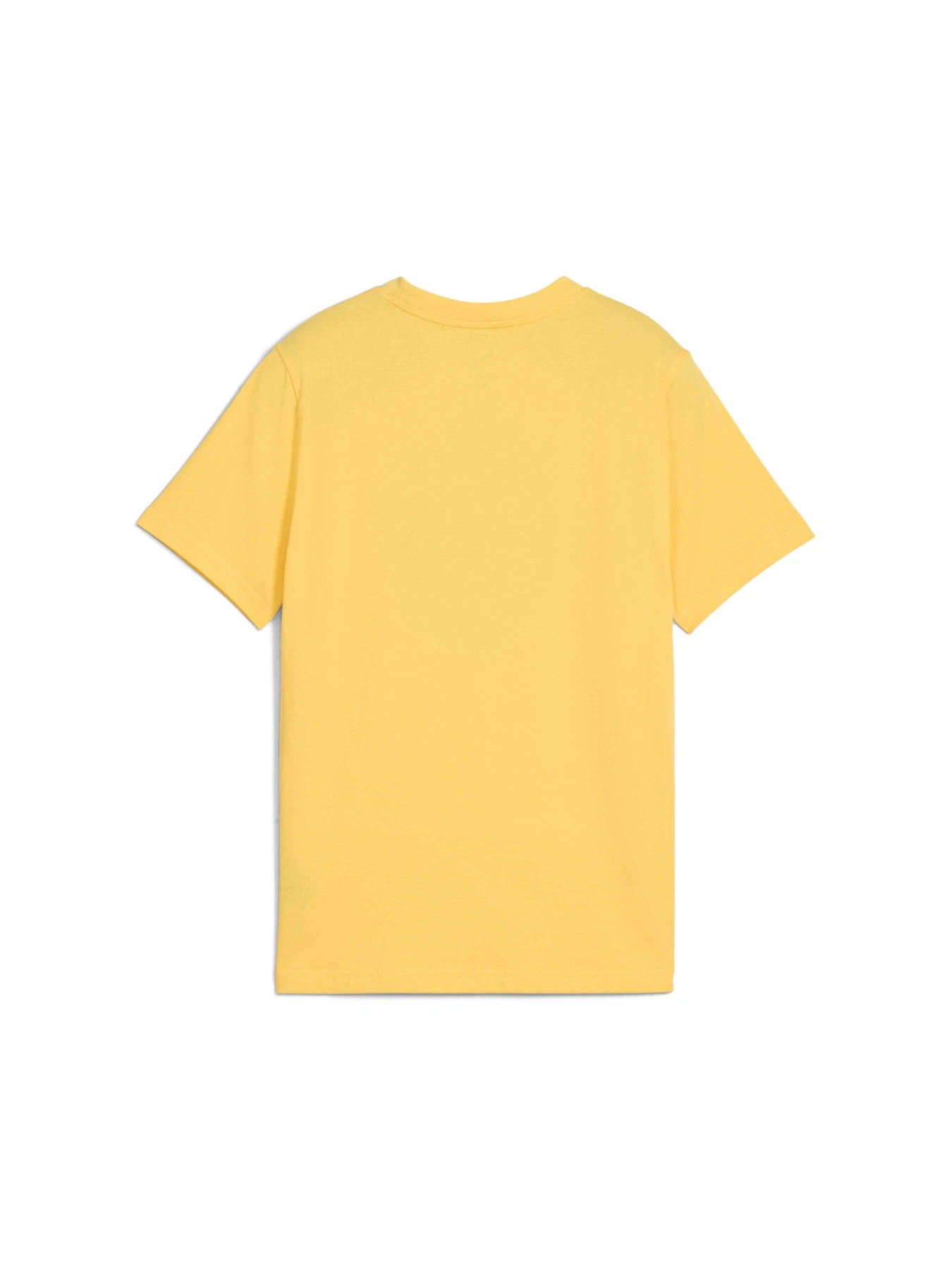 Футболки и поло PUMA Basketball Posterize Tee I модель 630822 Фото