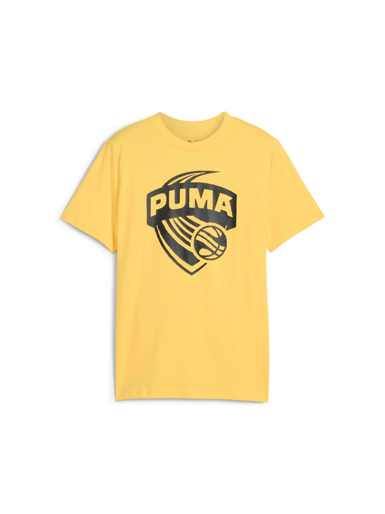 Футболки и поло PUMA Basketball Posterize Tee I модель 630822 Фото