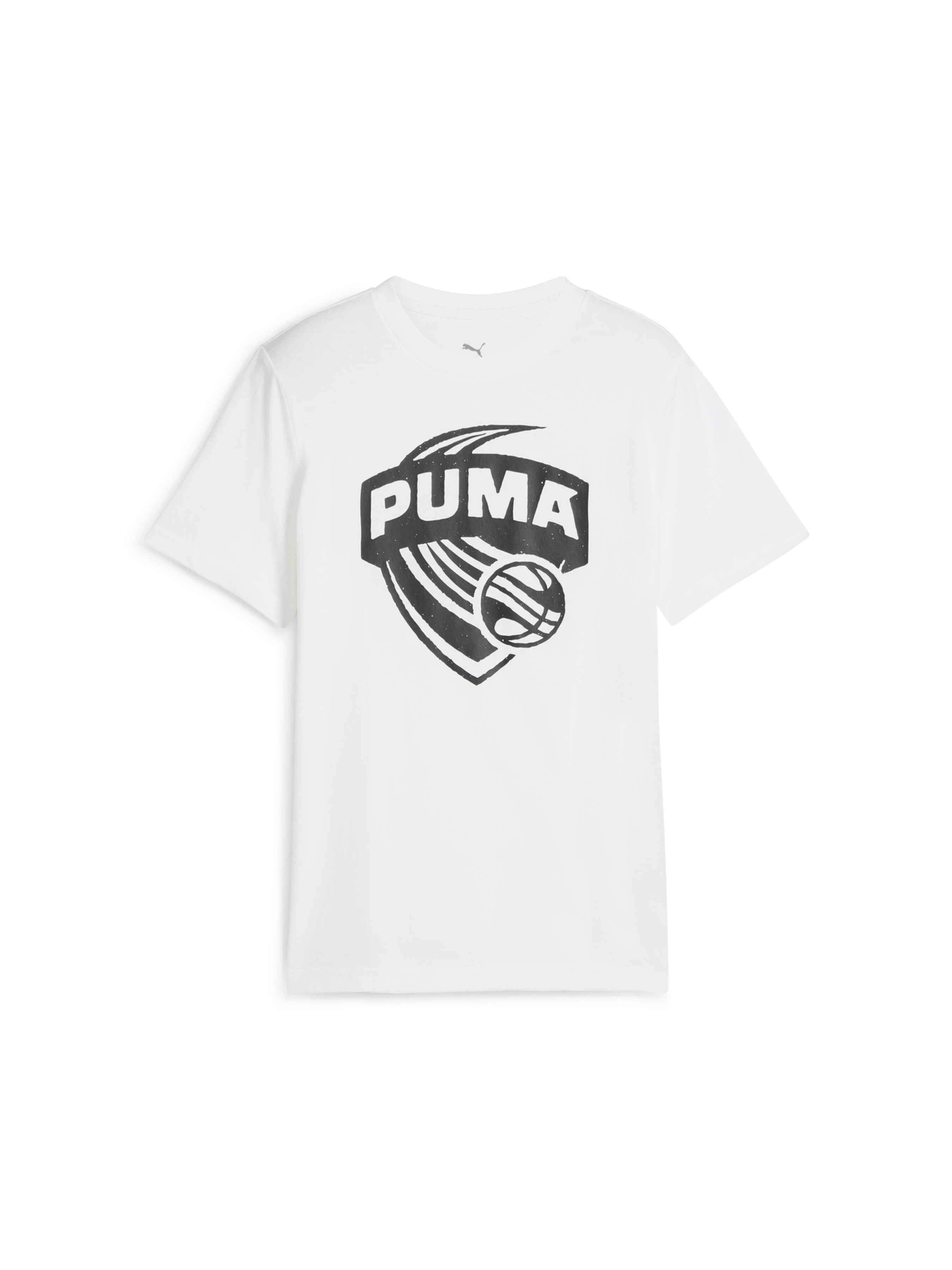Футболки и поло PUMA Basketball Posterize Tee I модель 630822 Футболки и поло PUMA Basketball Posterize Tee I модель 630822 Фото