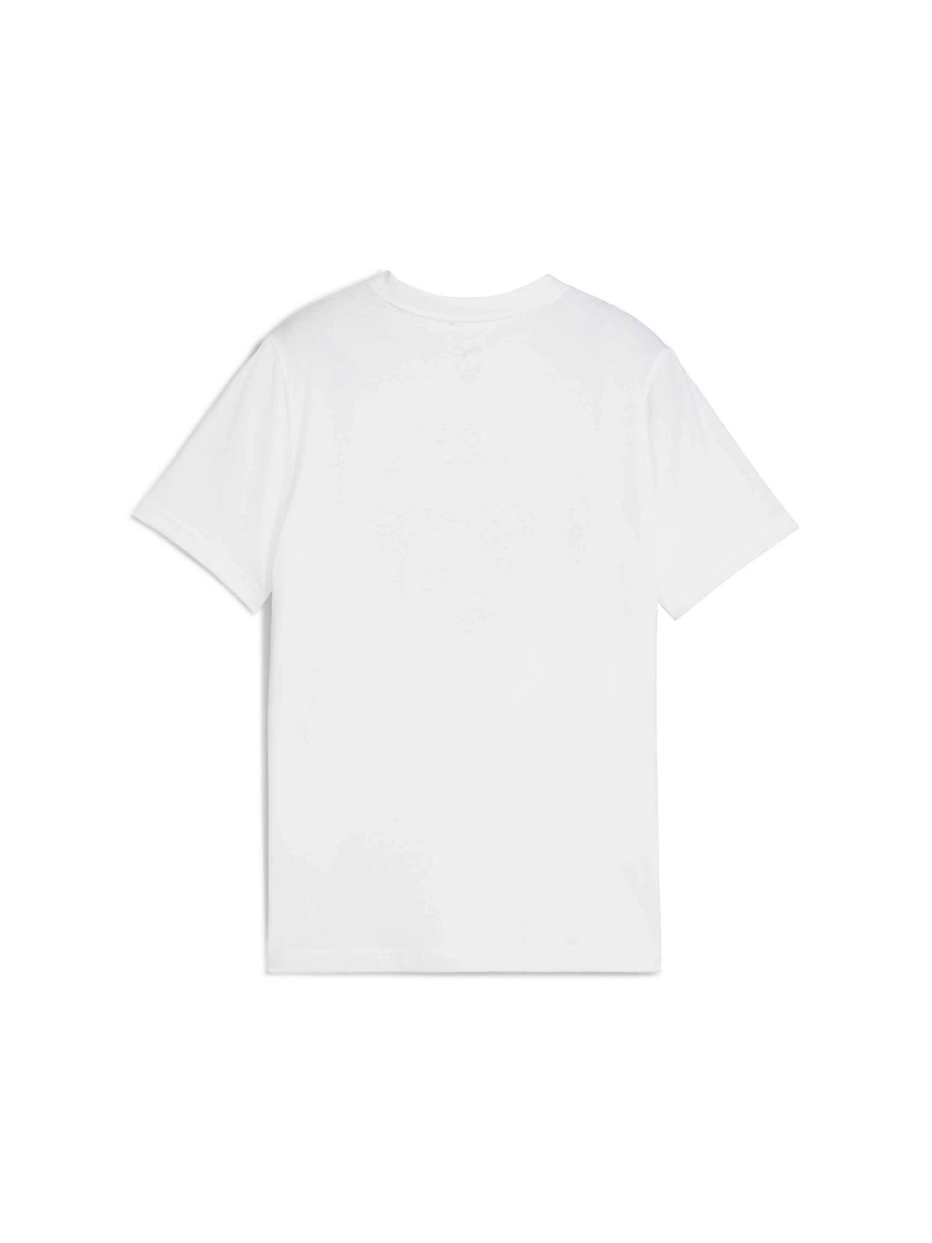 Футболки и поло PUMA Basketball Posterize Tee I модель 630822 Футболки и поло PUMA Basketball Posterize Tee I модель 630822 Фото